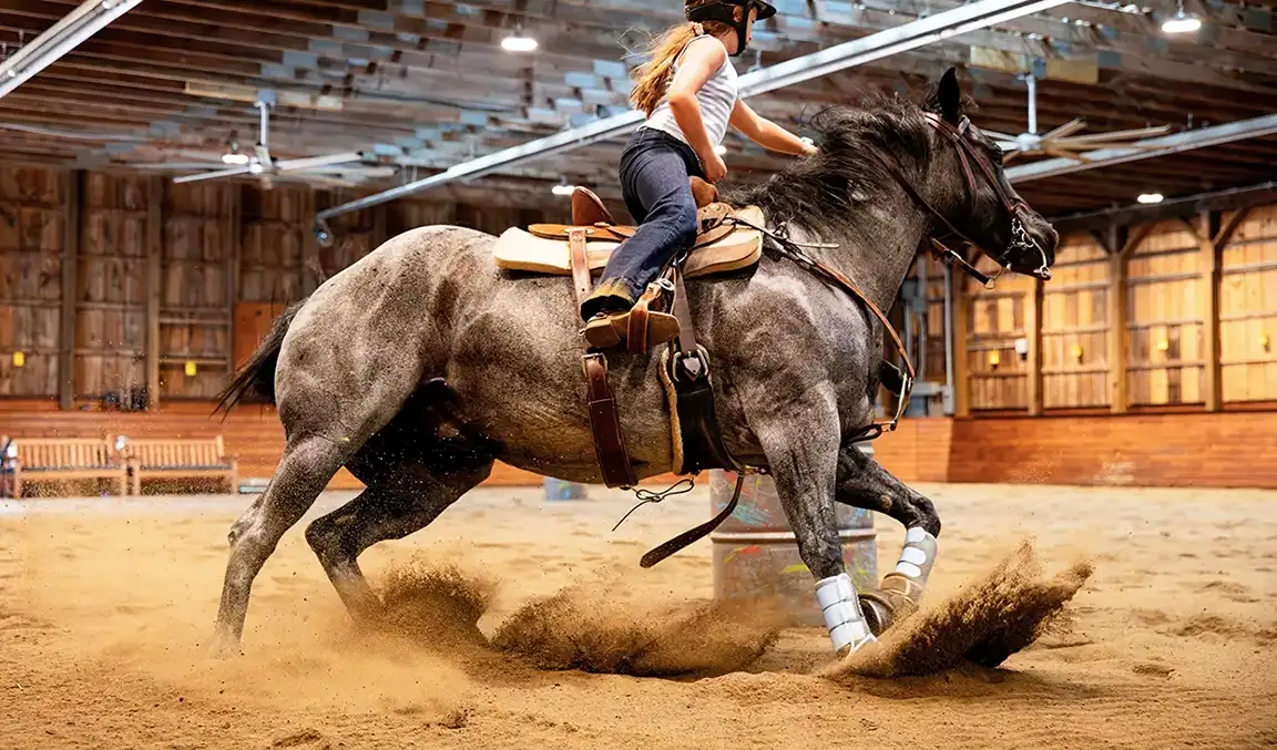 AllRight Dust-Free footing blend western rider barrel racing indoor arena.
