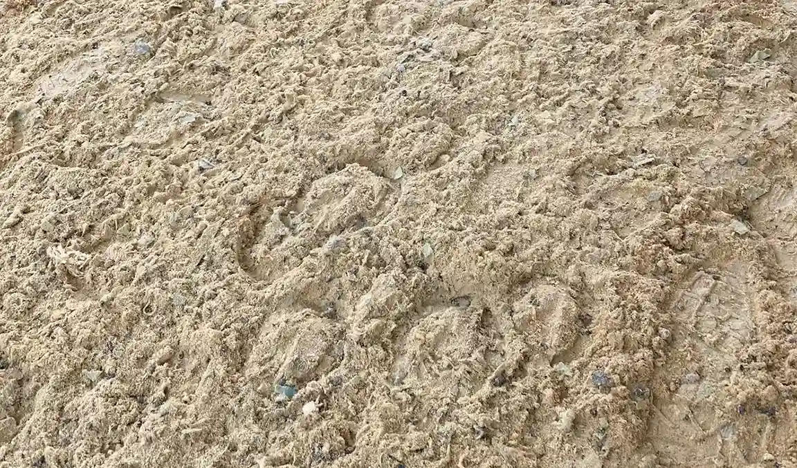 Dust-free arena footing blend with hoof impressions in the footing.