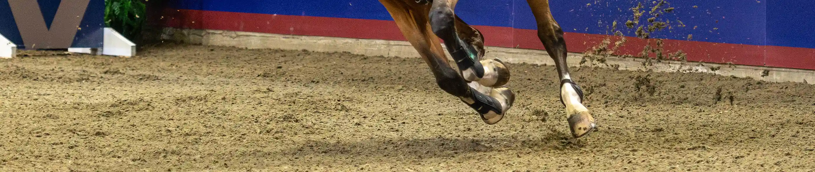 FootingFirst® footing blends for jumpers. Closeup of horse hooves and footing.