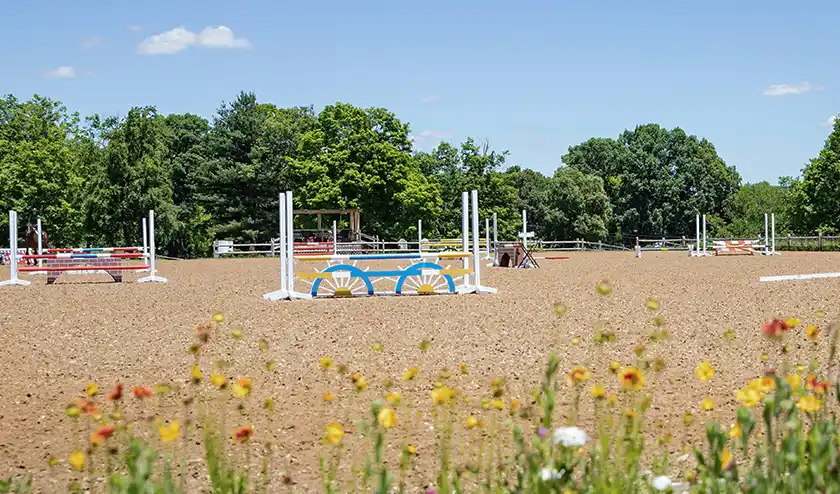 TraveLite™ Outdoor Arena Footing with Jump Standards