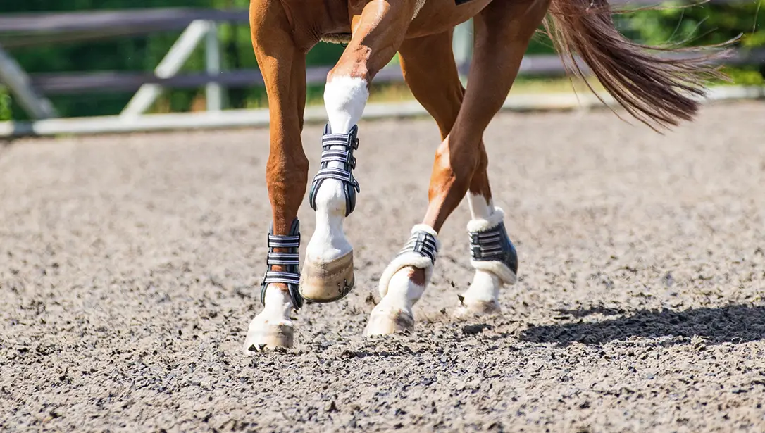 Close up of horse hooves on TravelRight™