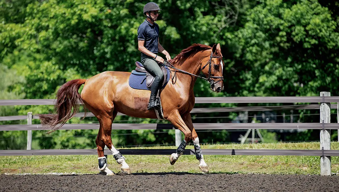Rider on chestnut horse on TravelRight™ footing outdoor arena