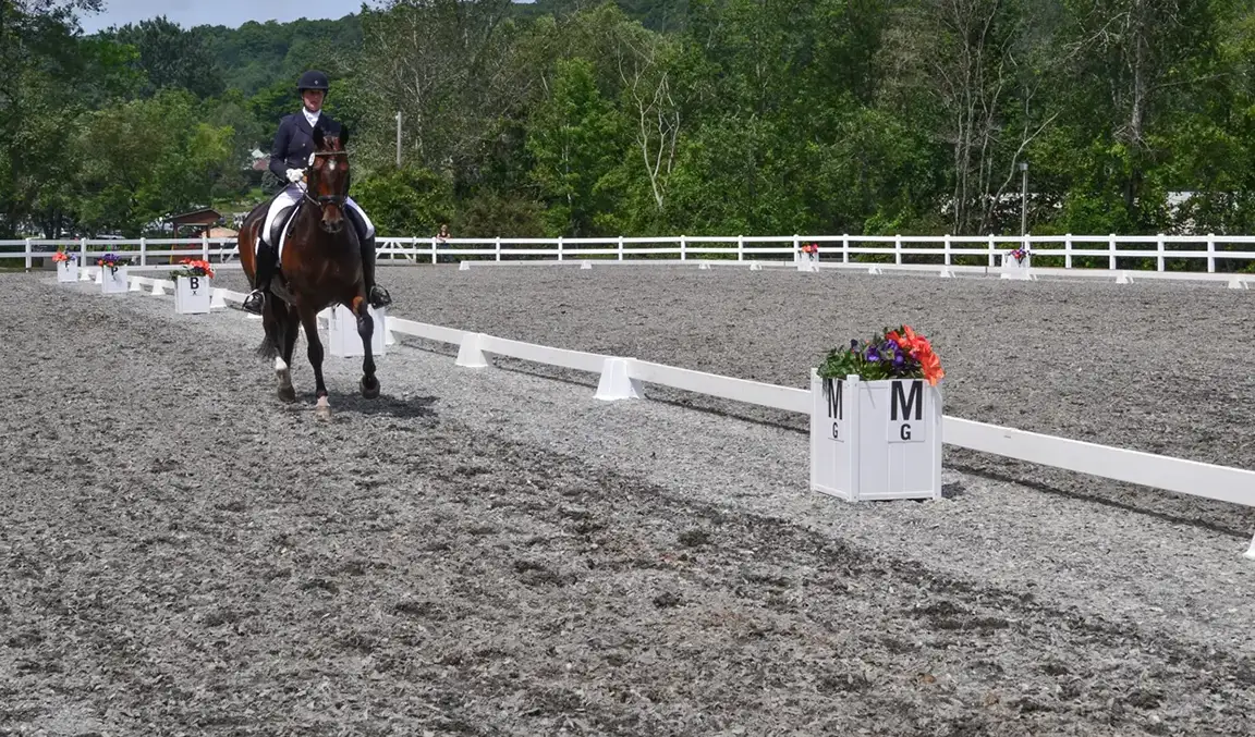 Water dependent arena footing blend. Dressage rider in outdoor arena.