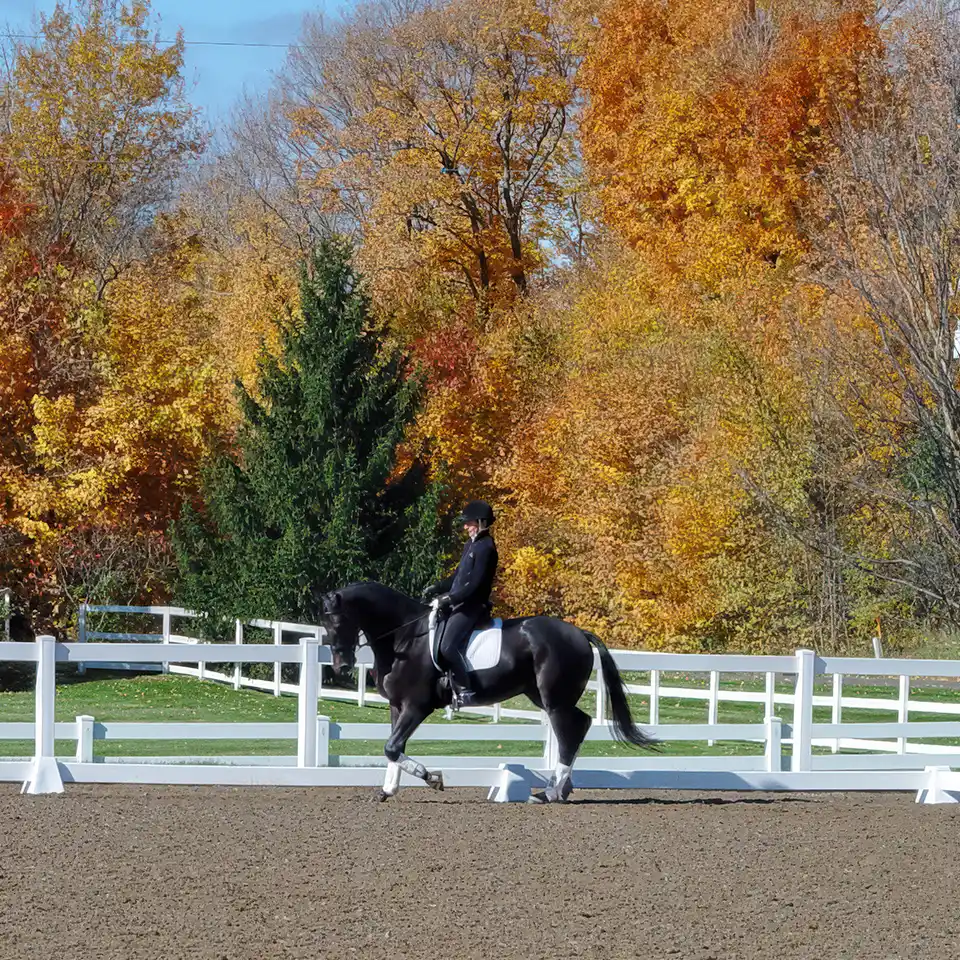 Outdoor arena on dust-free footing dressage rider
