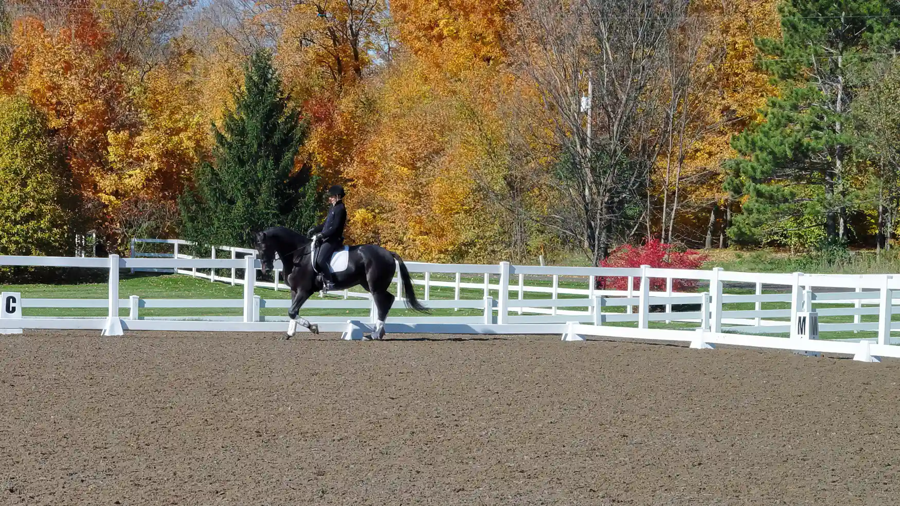 Outdoor arena on dust-free footing dressage rider
