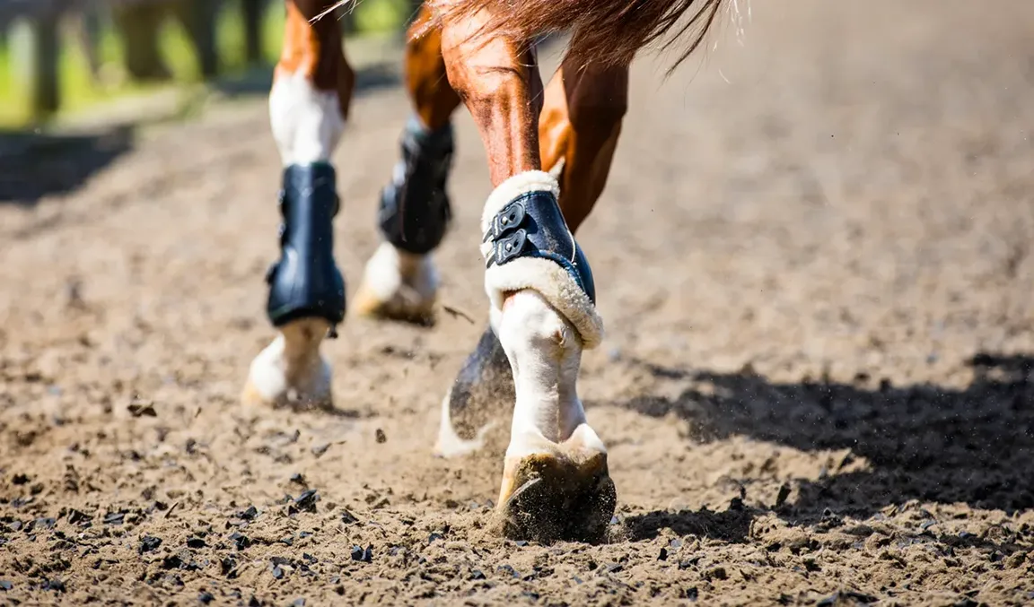 Dust-free TravelRight™ footing. Close up of horse hooves traveling away.