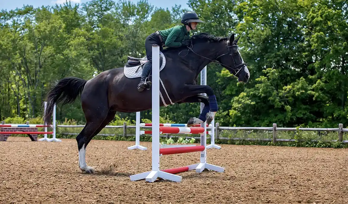 TraveLite™ footing hunter jumper outdoor arena