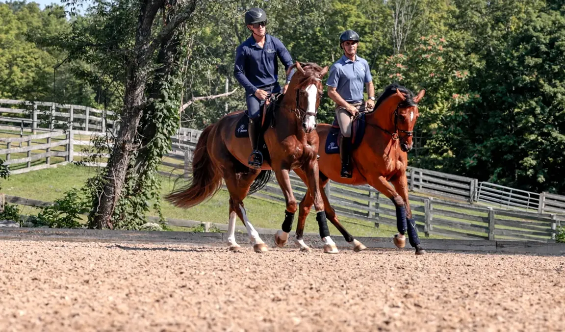 Water dependent SRS footing blend. Rodrigo Pessoa and rider in outdoor arena.